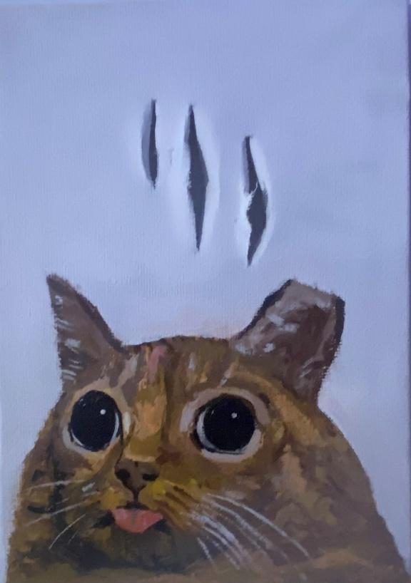 image 22